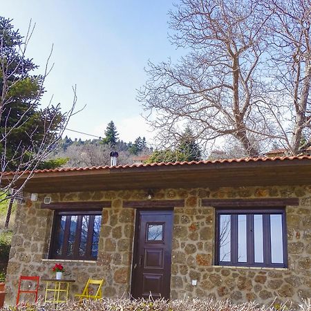 Willa Γήλοφος Ano Trikala Zewnętrze zdjęcie