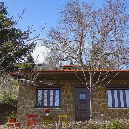 Willa Γήλοφος Ano Trikala Zewnętrze zdjęcie
